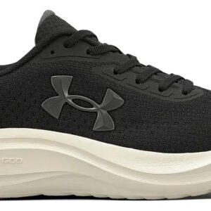 Calzado Championes Under Armour Charged Sunny Run - Hombre